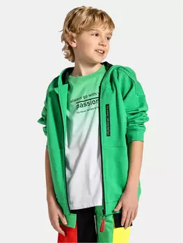 Толстовка стандартного кроя Coccodrillo, зеленый