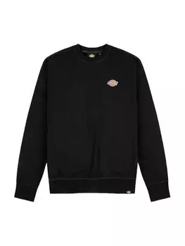 Толстовка стандартного кроя Dickies, черный
