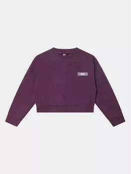 Толстовка стандартного кроя Dkny, фиолетовый