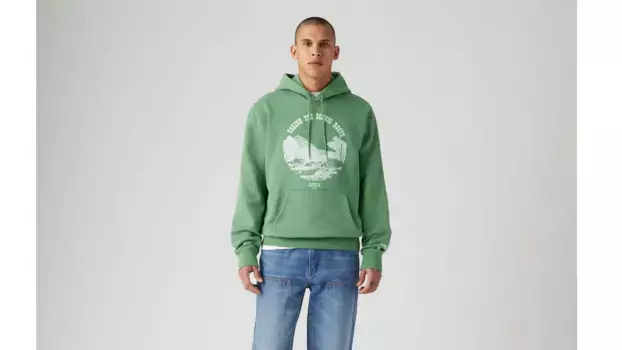 Толстовка стандартного кроя с графичным принтом Levi's, зеленый
