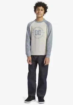 Толстовка STAR PILOT DC Shoes, синий