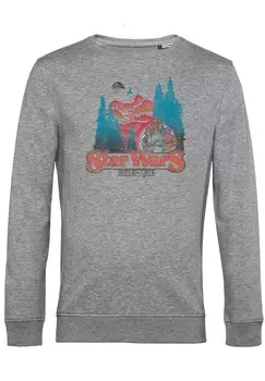 Толстовка STAR WARS: CLASSIC FOREST MOON TITLE Star Wars, цвет Mottled Light Grey