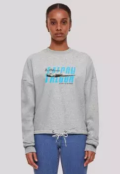 Толстовка STAR WARS MILLENIUM FALKE F4NT4STIC, серый