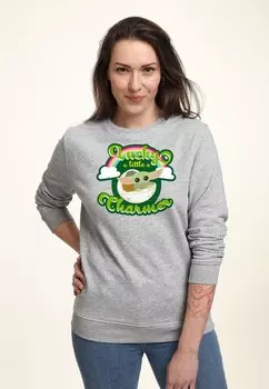 Толстовка STAR WARS THE MANDALORIAN CHARMER RAINBOW Star Wars, цвет Mottled Light Grey