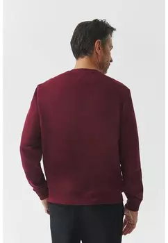 Толстовка STEEVE TATUUM, темно-красный