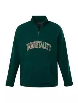 Толстовка STHUGE, цвет dschungel grn