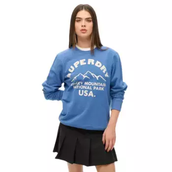 Толстовка Superdry Lo-Fi Outdoors Graphic, синий