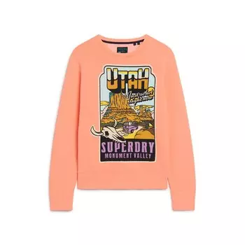 Толстовка Superdry Neon Travel Loose, оранжевый