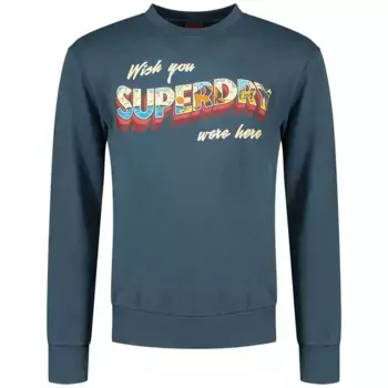 Толстовка Superdry Travel Postcard Graphic, синий
