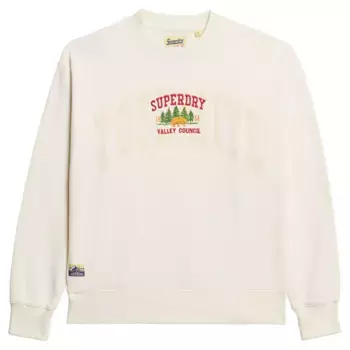 Толстовка Superdry Travel Souvenir Loose, бежевый