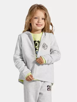 Толстовка свободного кроя Coccodrillo, серый