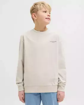 Толстовка свободного кроя для мальчиков Jack & Jones, бежевый