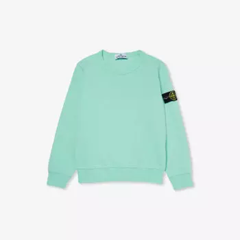 Толстовка свободного кроя из хлопкового джерси с логотипом, 4–14 лет Stone Island, зеленый