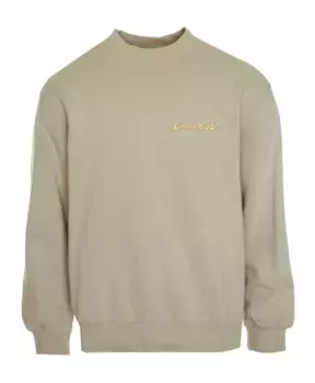 Толстовка свободного кроя с графическим рисунком Carhartt Wip, бежевый