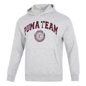 Толстовка team hoodie 'grey' Puma, серый