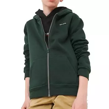 Толстовка Teddy Smith Narky, зеленый