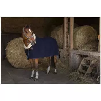 Толстовка TEDDY темно-синяя EQUITHÈME, темно-синий