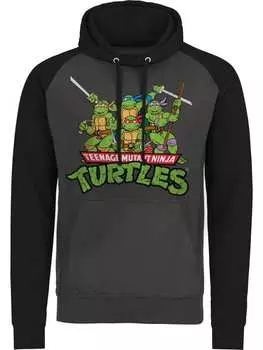 Толстовка Teenage Mutant Ninja Turtles, серый