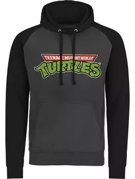 Толстовка Teenage Mutant Ninja Turtles, серый