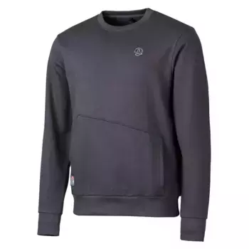 Толстовка Ternua Halfdome, серый