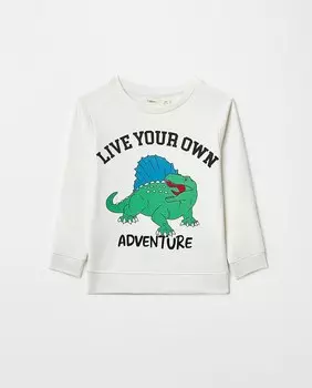 Толстовка Terry Dino Sfera, белый