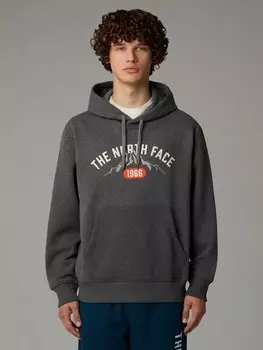 Толстовка The North Face M HOODIE VARSITY GRAPHIC, серый