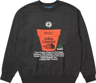 Толстовка The North Face x Online Ceramics Graphic Crew Sweatshirt 'Black Regrind', черный