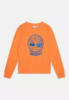 Толстовка Timberland, оранжевый