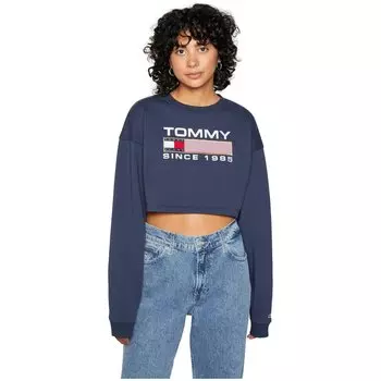 Толстовка Tommy Jeans DW0DW14339, синий