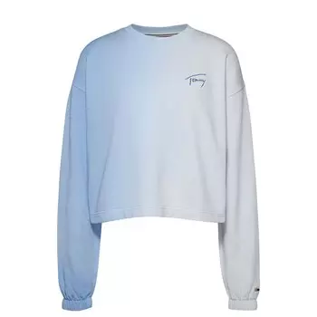 Толстовка Tommy Jeans DW0DW15427, синий