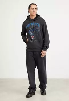 Толстовка Tommy Jeans ХУДИ PANTHER VINTAGE UNISEX, черный