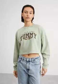 Толстовка Tommy Jeans, увядшая ива.