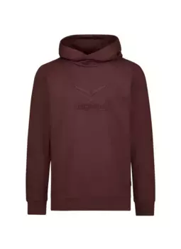 Толстовка Trigema с капюшоном "Толстовка TRIGEMA с крупным 3D-мотивом", цвет Kastanie