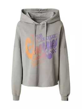 Толстовка True Religion, серый