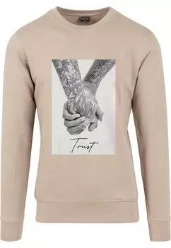 Толстовка TRUST 2.0 CREWNECK Mister Tee, земля