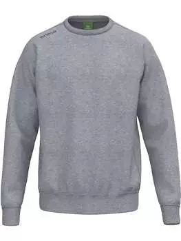 Толстовка Ts Sweatshirt erima, серый
