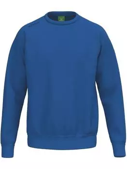Толстовка Ts Sweatshirt erima, синий