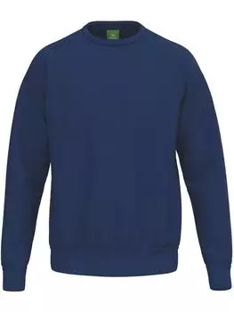 Толстовка Ts Sweatshirt erima, синий