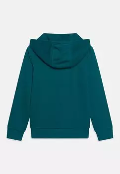 Толстовка Unisex adidas Originals, классический бирюзовый цвет