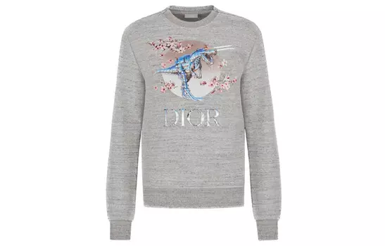 Толстовка унисекс Dior, серый