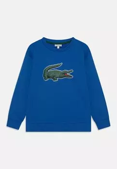 Толстовка UNISEX Lacoste, цвет ladigue