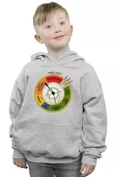 Толстовка уровня угрозы FANTASTIC BEASTS, серый