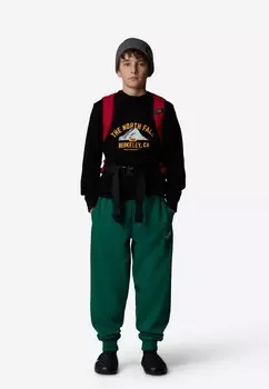 Толстовка VARSITY GRAPHIC The North Face, черный