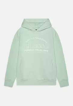 Толстовка VIGNOLE Ellesse, цвет light green