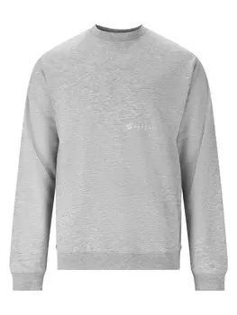 Толстовка Virtus, цвет 1005 light grey melange