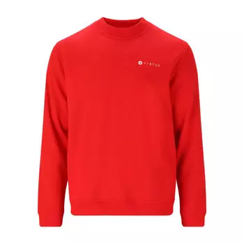 Толстовка Virtus, красный