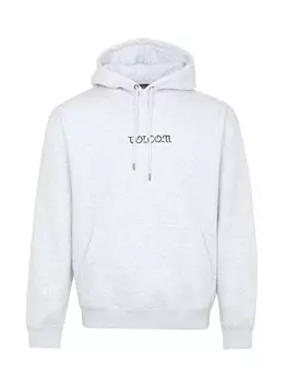 Толстовка Volcom GOTHSTONE, светло-серый