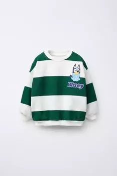 Толстовка в полоску bluey ludo studio ZARA, цвет Ecru/Green