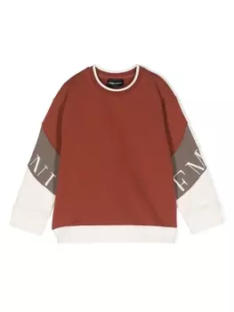 Толстовка в стиле колор-блок с вышитым логотипом Emporio Armani Kids, коричневый
