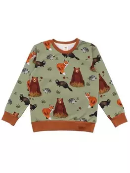 Толстовка Walkiddy Pullover Autumnland, зеленый